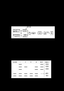 細(xì)胞工程高考真題強化訓(xùn)練與解析