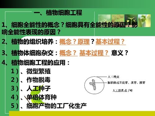 植物細(xì)胞工程的奧秘 從單細(xì)胞到完整植株的奇幻之旅