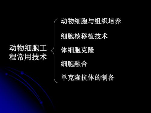 細(xì)胞工程的微觀奇跡 從動物細(xì)胞到生命重塑